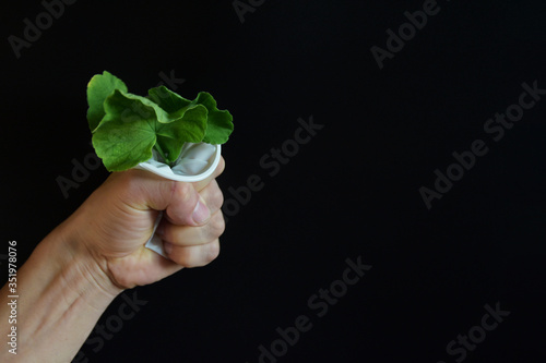 The male hand squeezes and crushes the plastic glass, and green leaves appear in the hand. The concept of reviving nature and solving environmental problems by recycling plastic.