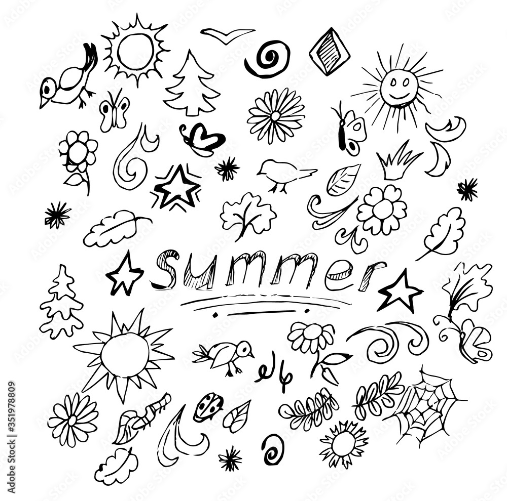 Fototapeta premium set of floral elements