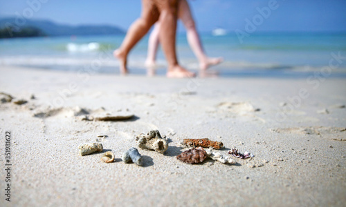small corals are lying on a sandy beach ,people are walking in the background