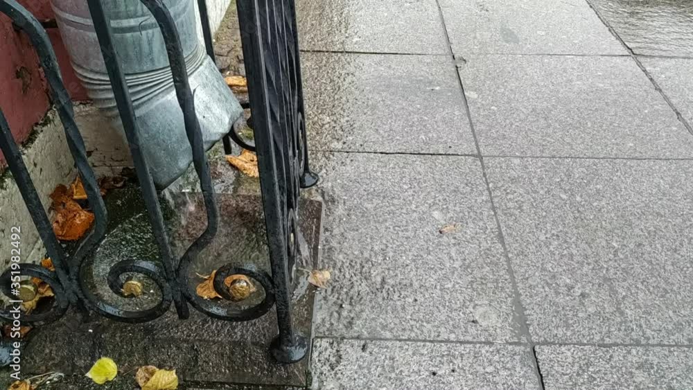 Water falls from metal roof drain pipe during rain in October in Saint Petersburg city, Russia. Small metal fence around the pipe. Weather forecast theme. Water falls from metal roof drain pipe during rain in October in Saint Petersburg city, Russia. Small metal fence around the pipe. Weather forecast theme.
