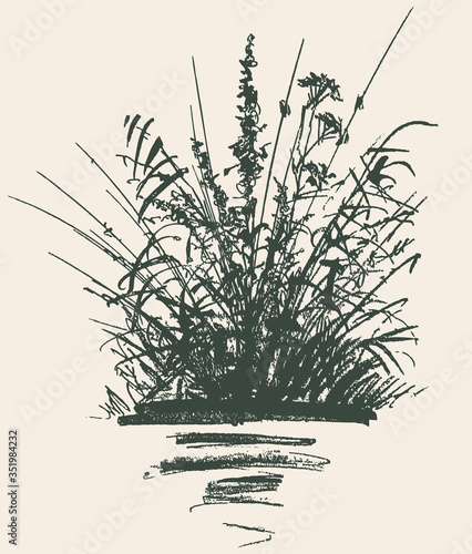 Freehand drawing of silhouettes wildflowers and grass on lakeshore