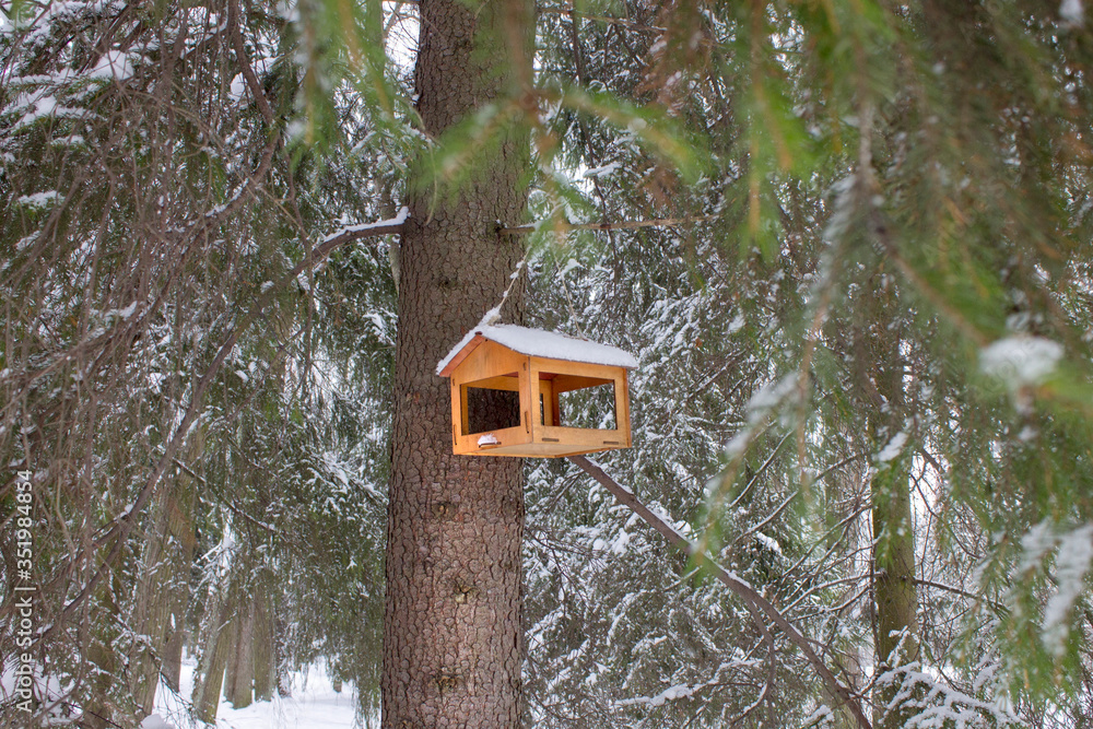 Bird hous in the forest on fir-tree Bird hous in the forest on fir-tree