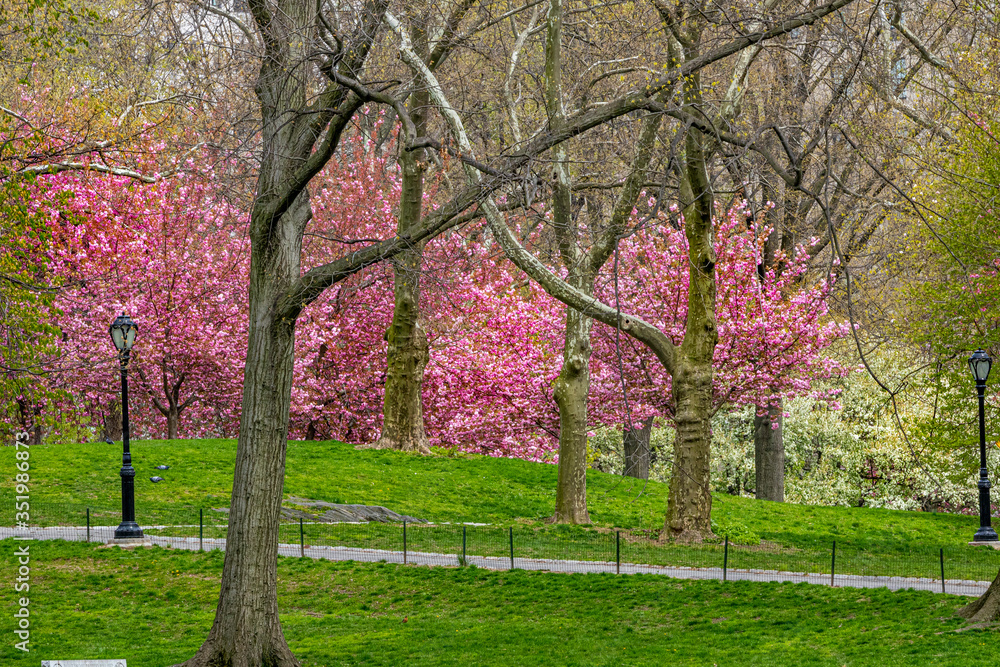 Central Park, Manhattan, New York City in spring