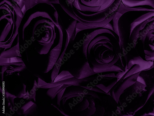 Beautiful abstract color blue and purple flowers on black background and purple graphic pink flower frame and pink leaves texture, purple background, colorful graphics banner, purple leaves 