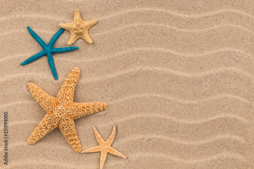 Starfish lying on the sand dunes.
