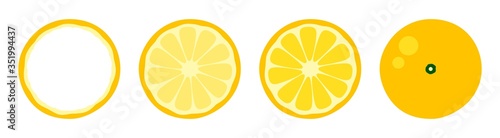 Orange tangerine grapefruit lemon lime on a white background. Vector illustration of summer fruits and citrus. Citrus icons silhouettes pictograms. Tropical fruit. The lemon in parts. Slice of lemon