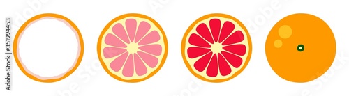 Orange tangerine grapefruit lemon lime on a white background. Vector illustration of summer fruits and citrus. Citrus icons are silhouettes of pictograms. Tropical fruit. Grapefruit parts, slices