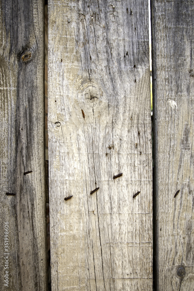Fototapeta premium Textured wood background