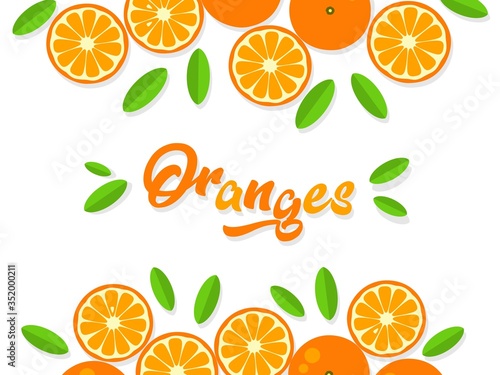 Orange background. Orange tangerine grapefruit lemon lime on a white background. Vector illustration of summer fruits and citrus. Citrus icons and silhouettes. Cute painted oranges. Tropical fruits