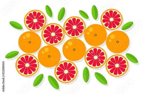 Grapefruit background. Orange tangerine grapefruit lemon lime on a white background. Vector illustration of summer fruits and citrus. Citrus icons silhouettes. Cute painted grapefruits. Tropical fruit