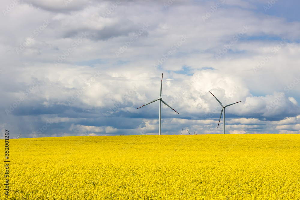 wind farm on rapeseed field wind farm on rapeseed field