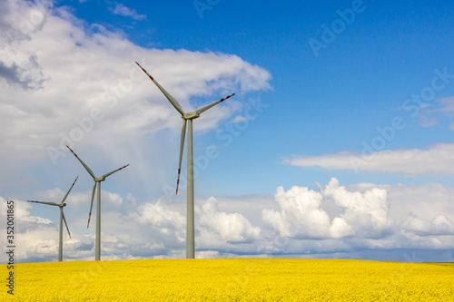 wind farm on rapeseed field © tmag