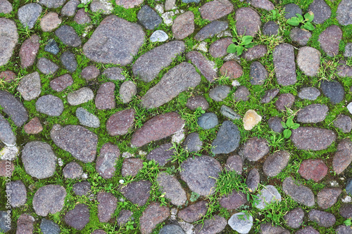 stone texture road with green grass photo