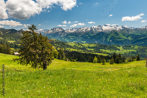 Green alpine pasture with magestic mountain range covered with the  snow, trees, forests and clouds in the background. Brunni-Holzegg-Müsliegg footpath in Mythen region photo