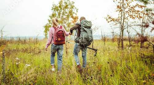Rear view of a traveling couple of backpacker wading outdoors through an autumn field holding hands with hiking poles. Hiking concept