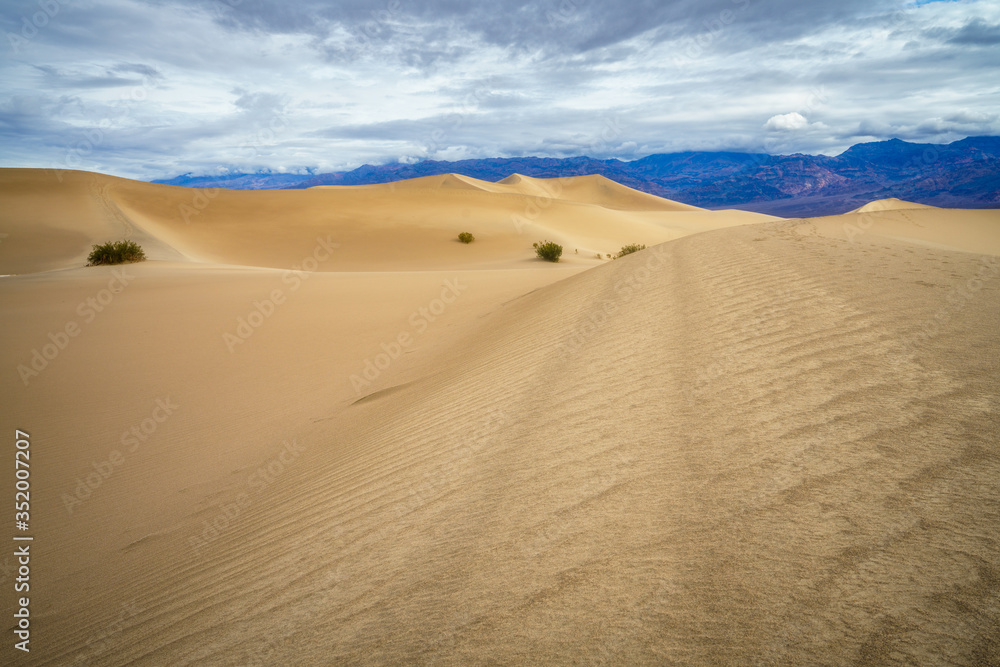 mesquite flat sand dunes in death valley national park in california, usa