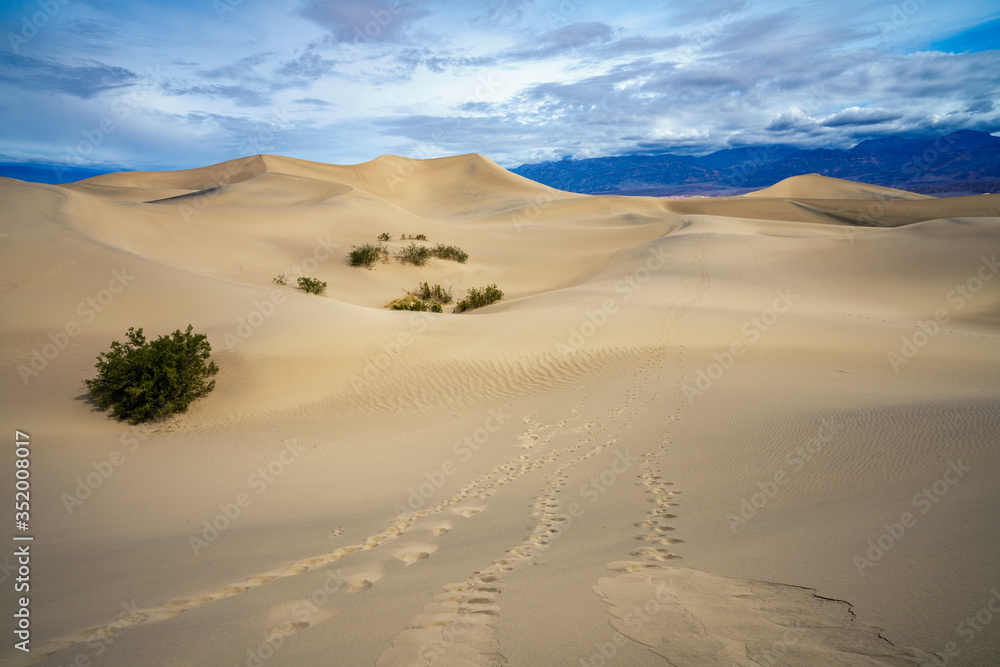 mesquite flat sand dunes in death valley national park in california, usa