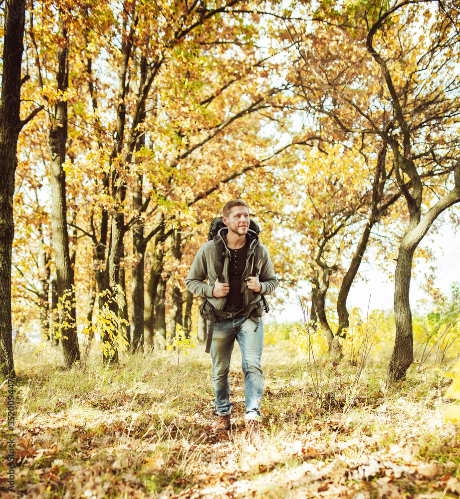 Traveler backpacker walking in autumn forest, young caucasian man in gray jacket goes along the trail admiring beauty of nature on sunny day. Hiking concept