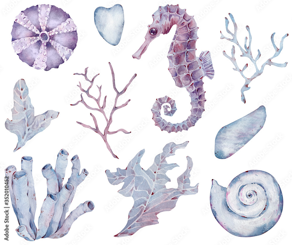 Watercolor collection of underwater plants and creatures. Ocean life