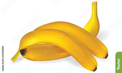 Three ripe banana on isolated background. Realistic vector illustration of yellow fruit for cooking, gastronomy, healthy eating and organic food advertising design.