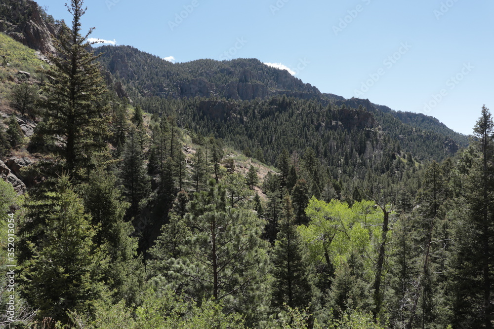 Colorado Mountains in Spring