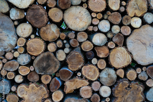 Logs lie on top of each other in large numbers