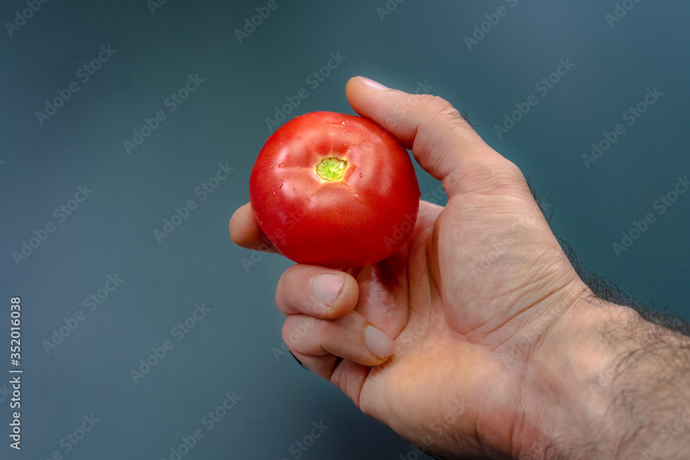 Red tomato in hand on a black background Red tomato in hand on a black background