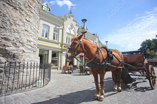 Horse & cart next to the city gates of the old town, in the historic medieval downtown area of the city, Tallinn, Estonia.