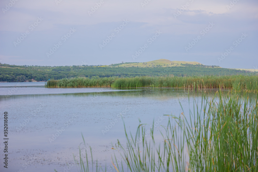 Beautiful blue lake with green reeds. Landscape on the lake.