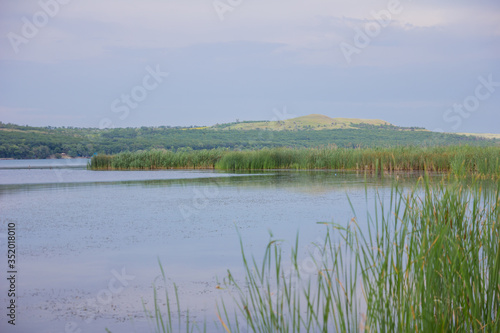 Beautiful blue lake with green reeds. Landscape on the lake.