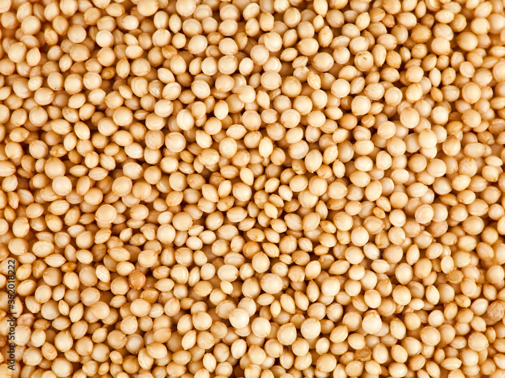 Background of amaranth seeds. Top view. Background of amaranth seeds. Top view.