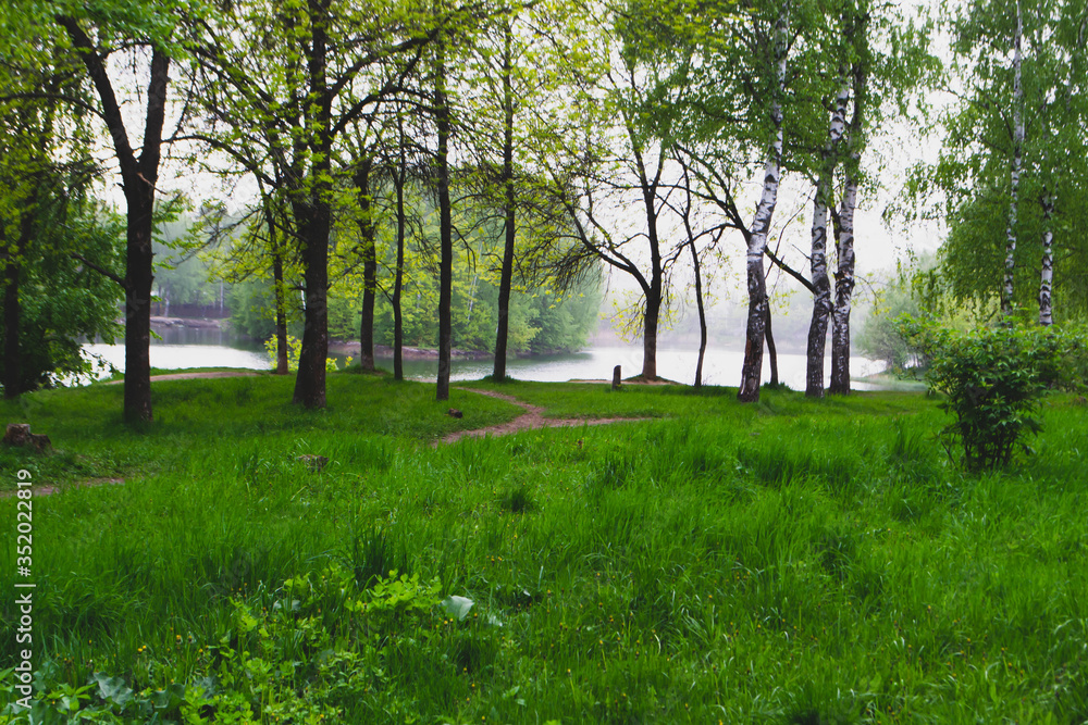 lake and trees in the park on a spring cloudy day