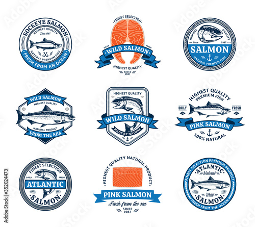 Salmon logo and design elements