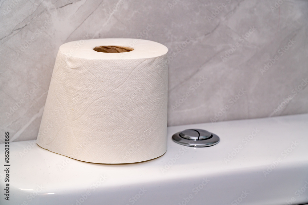 White toilet bowl with toilet paper in a bathroom