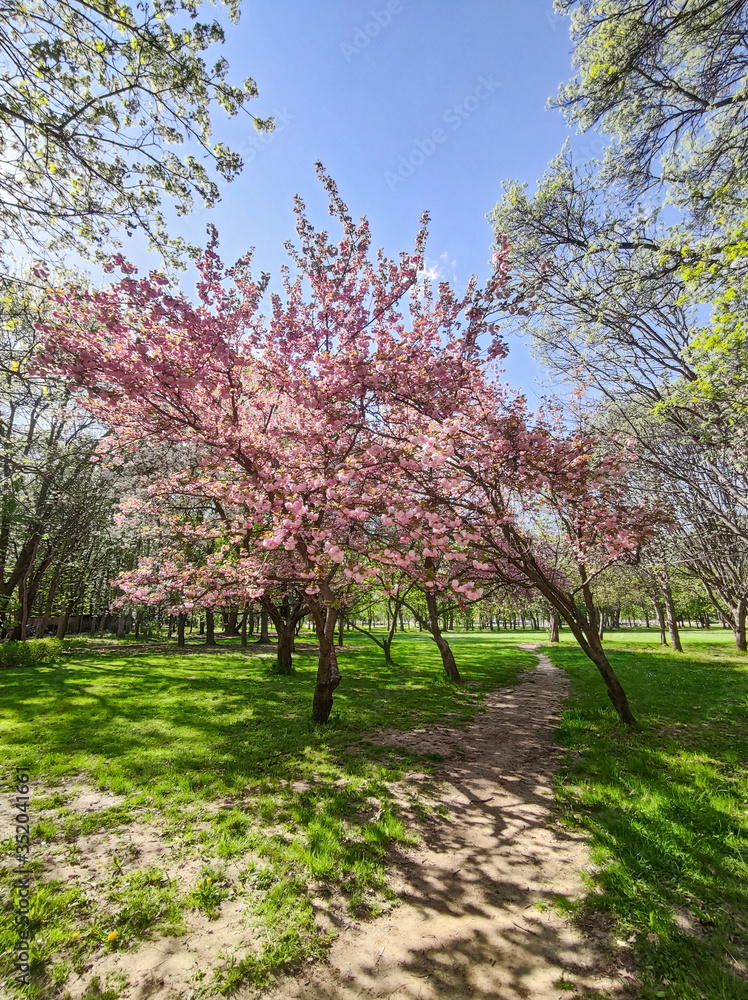 Spring view of South Park in city of Sofia