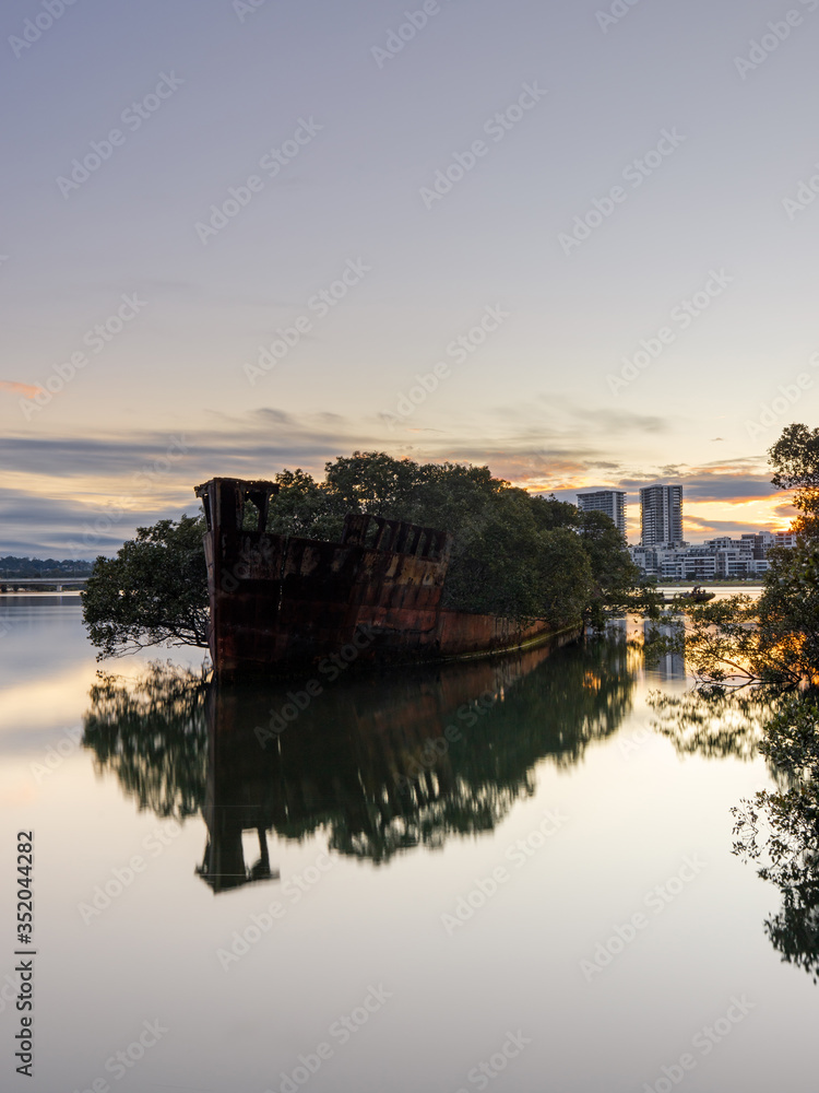 SS Ayrfield shipwreck located in Homebush Bay, Sydney, Australia.