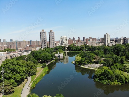 central park new york forest walking 