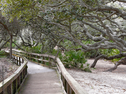 Slika na platnu Cumberland Island, Georgia, Sea Camp boardwalk