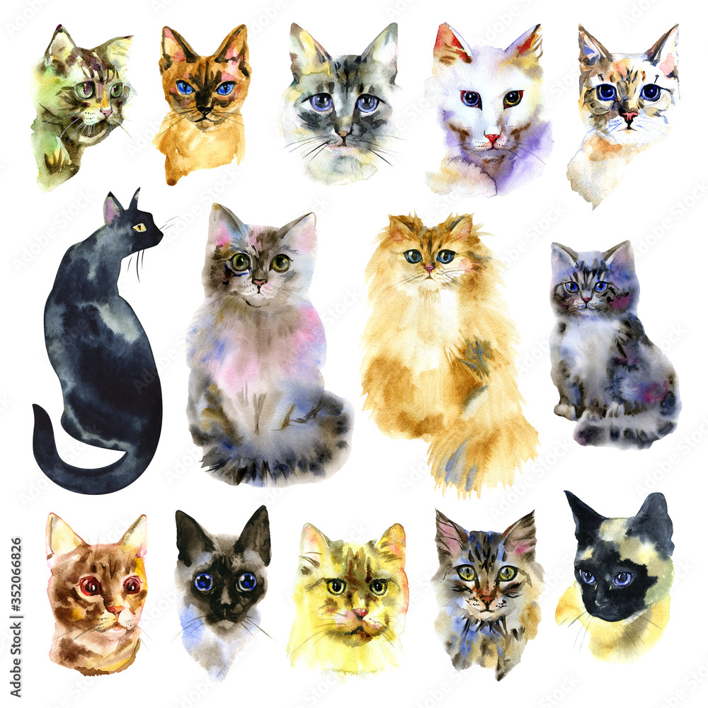 Set of watercolor cats. Isolated cat. Hand drawn set . Love cats