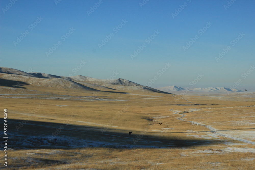 モンゴル　平原