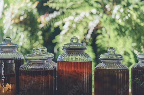 Schilderij op canvas Infused Water in glass jar Fermented from herb, vegetable, and fruit