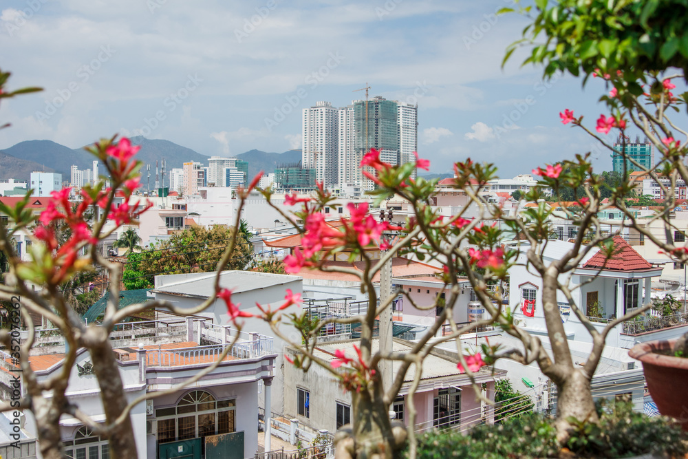 View of Nha Trang city from Po Nagar Towers through flowers. Asia's growing city under construction. panorama of Vietnam