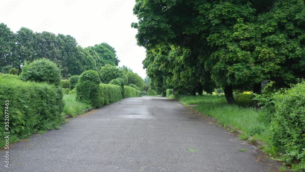 Beautiful view of nature, dawn in the morning park, green grass and paved path. Concept, morning freshness and coolness. Beautiful view of nature, dawn in the morning park, green grass and paved path. Concept, morning freshness and coolness.