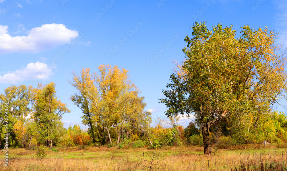 Autumn landscape in forest Autumn landscape in forest