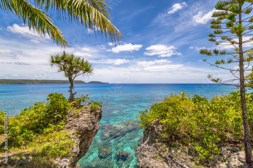 Scenic landscape with a single tree on top of a curved cliff, palm tree, pine and beautiful turquoise waters on the Island of Mare, New Caledonia photo