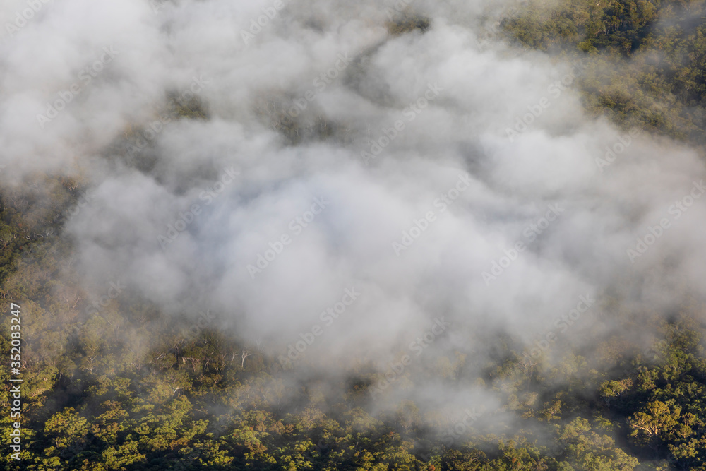 Low level clouds in the Jamison Valley near Katoomba in The Blue Mountains in Australia