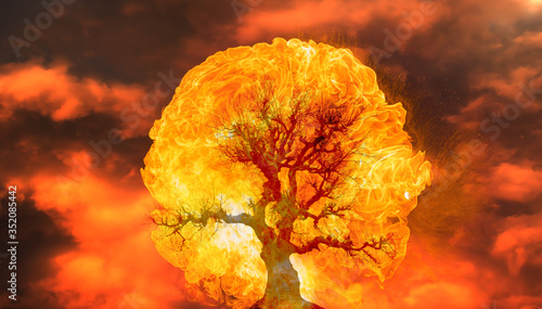 Obraz na plátně Burning Tree on fire at day with stormy sky and lightning