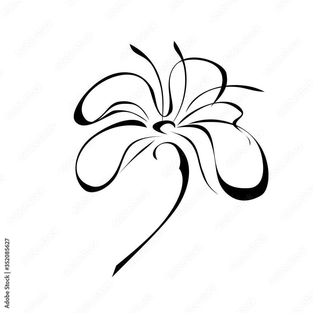 one unique stylized blooming flower on a short stalk without leaves in black lines on a white background one unique stylized blooming flower on a short stalk without leaves in black lines on a white background