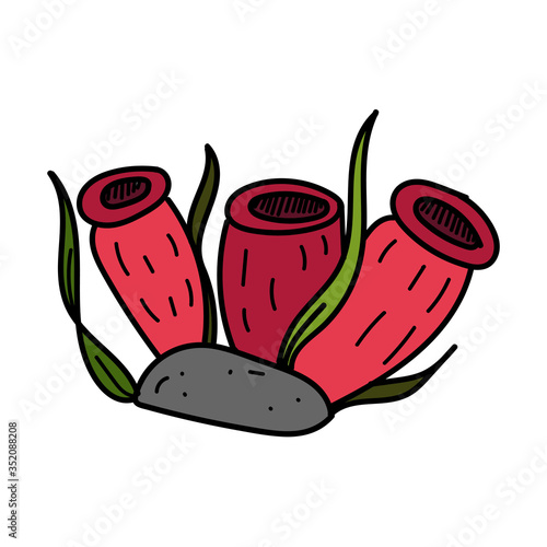 color vector element, black and white picture of a marine inhabitant, algae