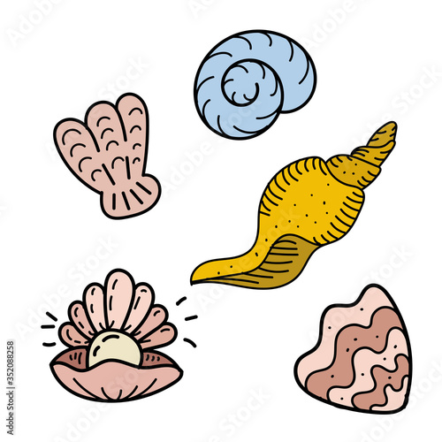 color vector element, black and white drawing of a marine inhabitant, shell